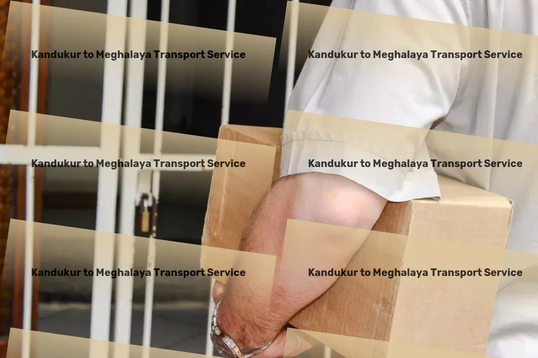 Kandukur to Meghalaya Packers And Movers Package delivery