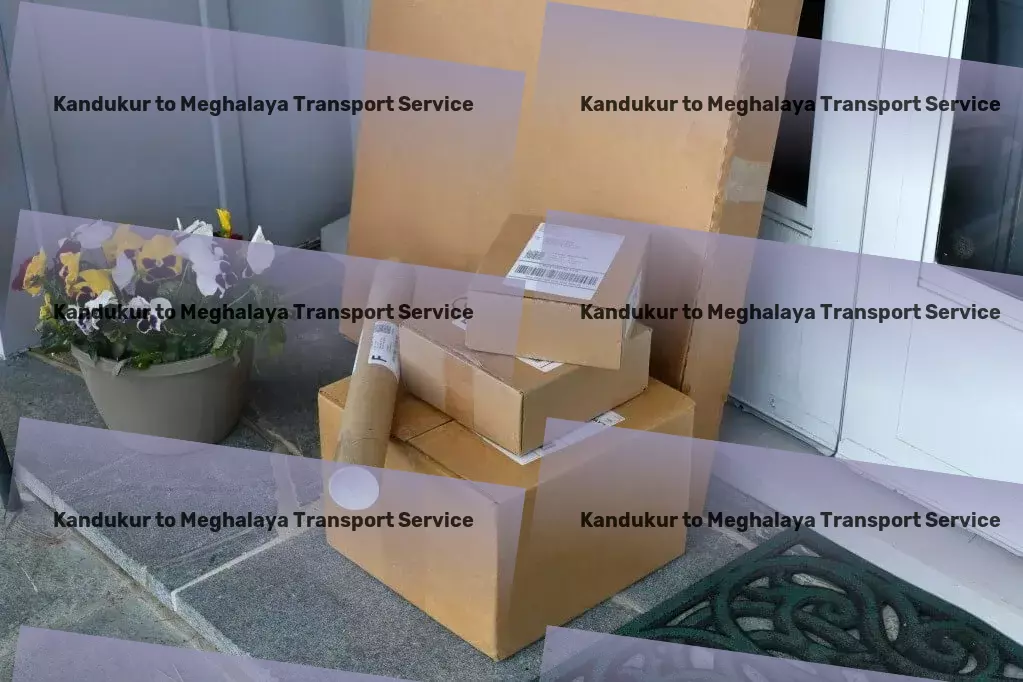 Kandukur to Meghalaya Packers And Movers Bulk freight transportation